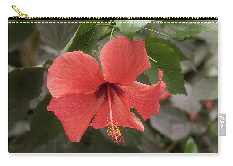 Flower Zip Pouch featuring the photograph Red Hibiscus Flower by Tim Abeln