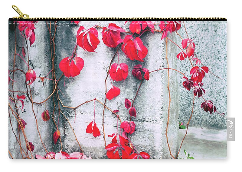 Ivy Zip Pouch featuring the photograph Red ivy leaves by Silvia Ganora