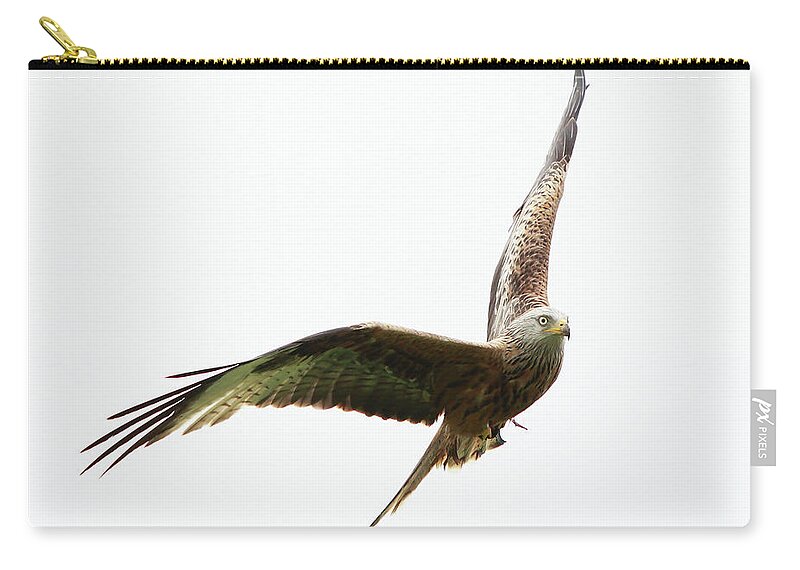 Red Kite Zip Pouch featuring the photograph Red Kite by Maria Gaellman