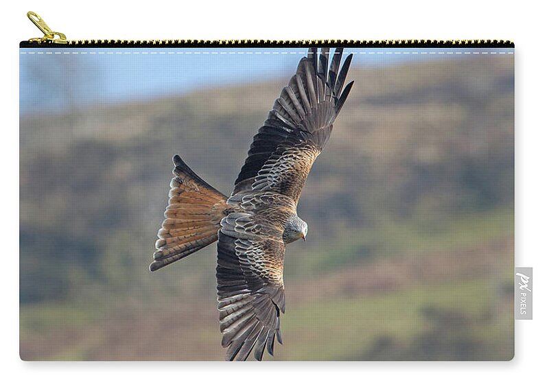 Red Carry-all Pouch featuring the photograph Red Kite by Pete Walkden