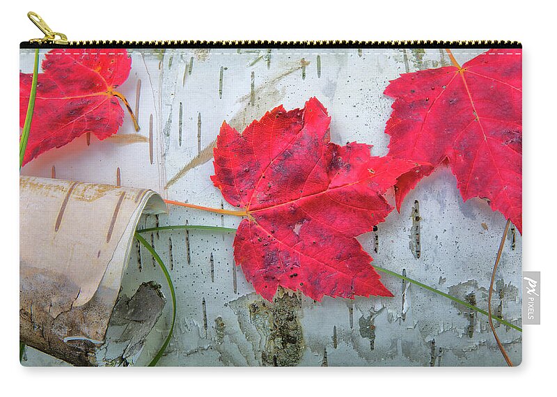 Maple Leaves Zip Pouch featuring the photograph Red Leaves by Nancy Dunivin