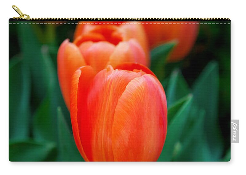Spring Flowers Zip Pouch featuring the photograph Red Tulips by Az Jackson