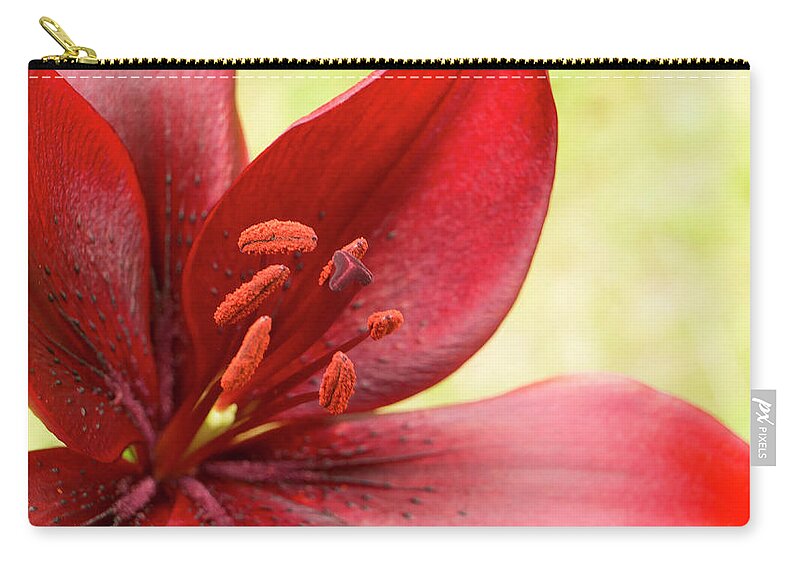 Red Lily Carry-all Pouch featuring the photograph Red lily for wealth and prosperity. by Elena Perelman