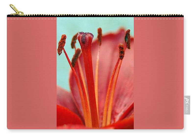 Flower Carry-all Pouch featuring the photograph Red Lily Reach by Amy Fose