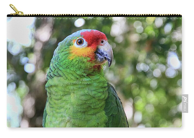 Animal Zip Pouch featuring the photograph Red-lored Amazon Parrot 2 by Teresa Zieba