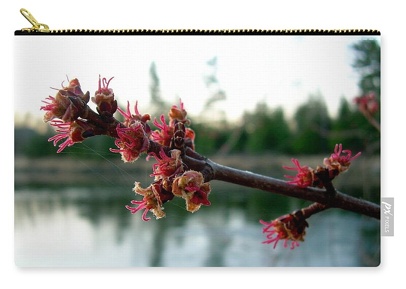 Maple Buds Zip Pouch featuring the photograph Red Maple Buds at Dawn by Kent Lorentzen