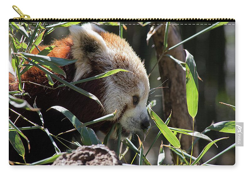 Panda Zip Pouch featuring the photograph Red Panda by ChelleAnne Paradis
