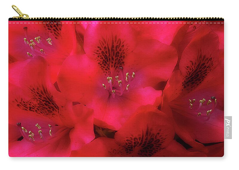 Flowers Carry-all Pouch featuring the photograph Red Petals by Mike Eingle