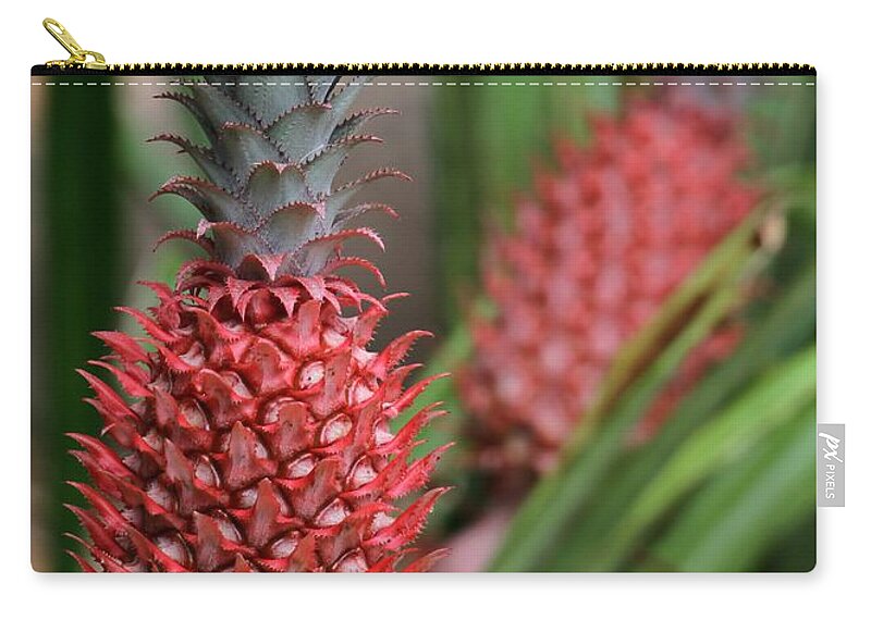 Red Zip Pouch featuring the photograph Red Pineapples by Sabrina L Ryan