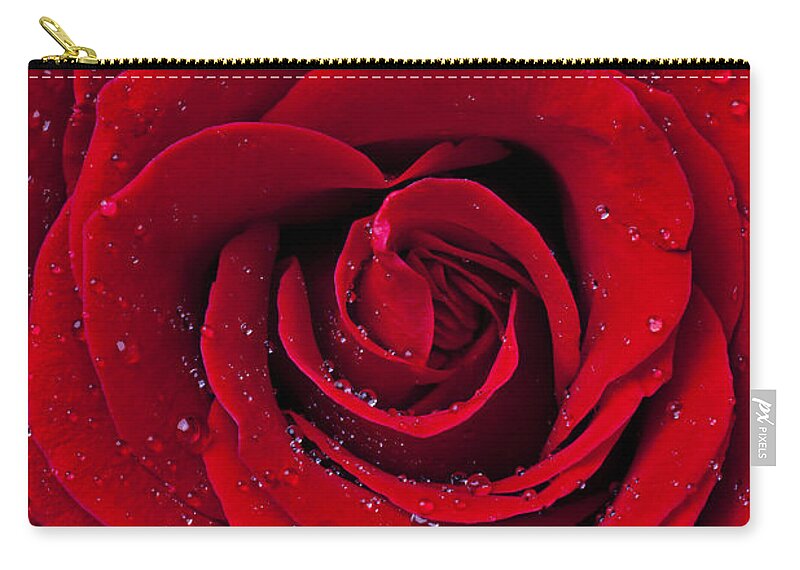 Red Zip Pouch featuring the photograph Red Rose With Dew by Garry Gay