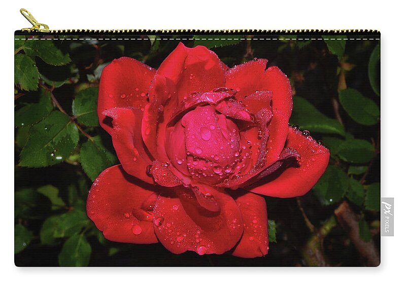 Red Rose Zip Pouch featuring the photograph Red Rose With Dewdrops 014 by George Bostian