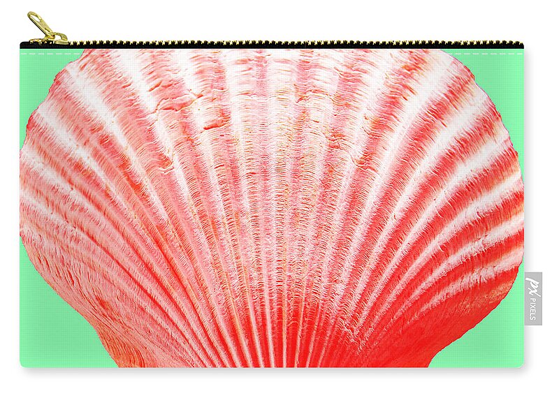 Sea Zip Pouch featuring the photograph Red Shell on Green by WAZgriffin Digital