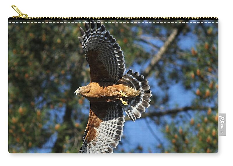 Hawk Zip Pouch featuring the photograph Red Shouldered Hawk by Liz Vernand
