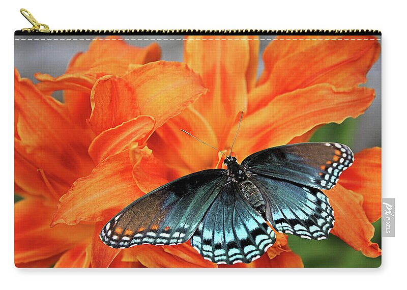 Red-spotted Purple Zip Pouch featuring the photograph Red Spotted Fritillary by Kristin Elmquist
