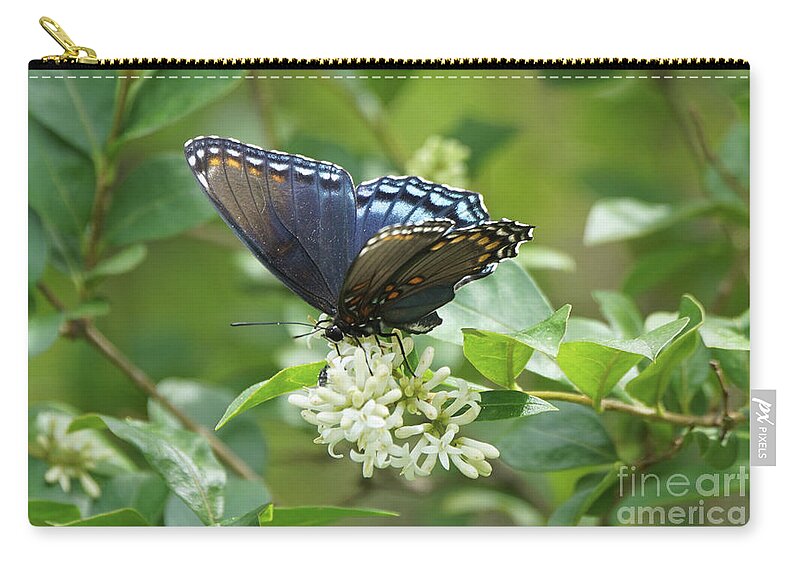 Red-spotted Purple Butterfly Zip Pouch featuring the photograph Red-spotted Purple Butterfly on Privet Flowers by Robert E Alter Reflections of Infinity