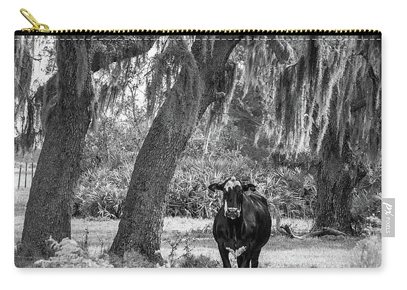 Spanish Moss Zip Pouch featuring the photograph Red-Tagged Cow, Black and White by Liesl Walsh