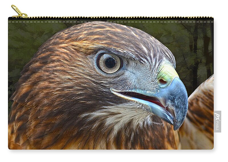 Red-tailed Hawk Portrait Zip Pouch featuring the photograph Red-Tailed Hawk Portrait by Sandi OReilly