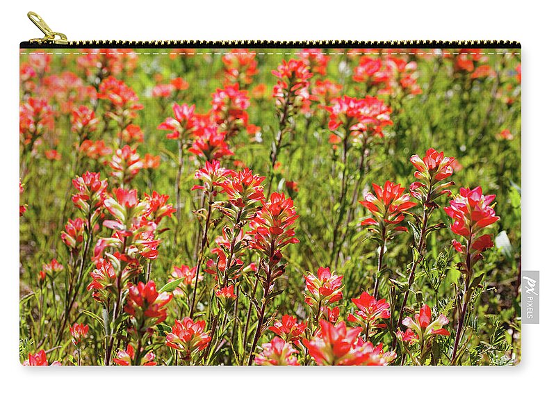 Austin Carry-all Pouch featuring the photograph Red Texas Wildflowers by Raul Rodriguez