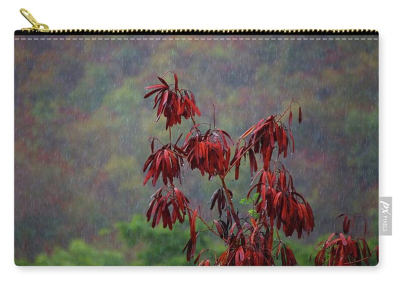 Alabama Photographer Zip Pouch featuring the digital art Red Tree in the Rain by Michael Thomas