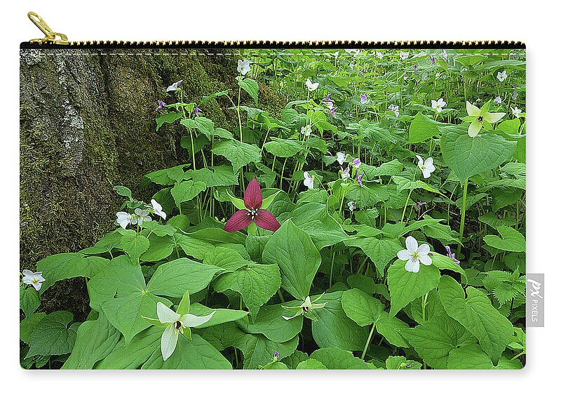 Plant Zip Pouch featuring the photograph Red Trillium at Center by Alan Lenk