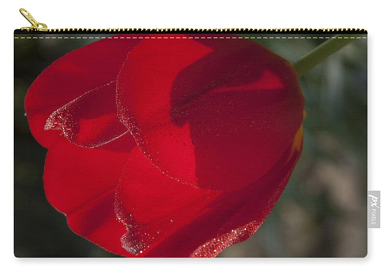 Tranquility Zip Pouch featuring the photograph Red Tulip in the Sun by Janis Kirstein