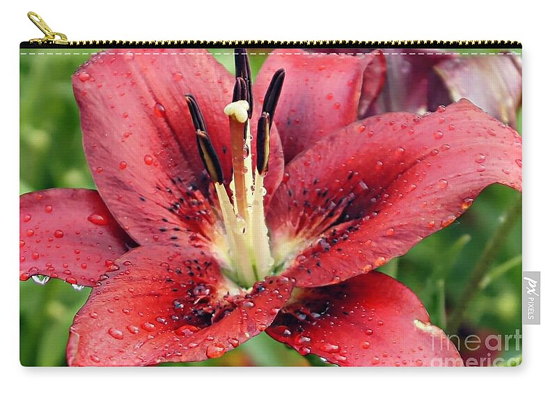 Red Lily Zip Pouch featuring the photograph Red Wet and Wild by Lilliana Mendez