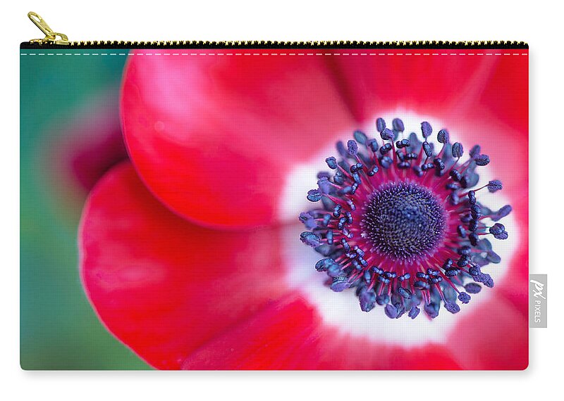 Anemone Zip Pouch featuring the photograph Red White Blue Anemone by Rebecca Cozart