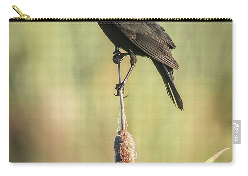 Nature Zip Pouch featuring the photograph Red-wing On Cattail by Robert Frederick