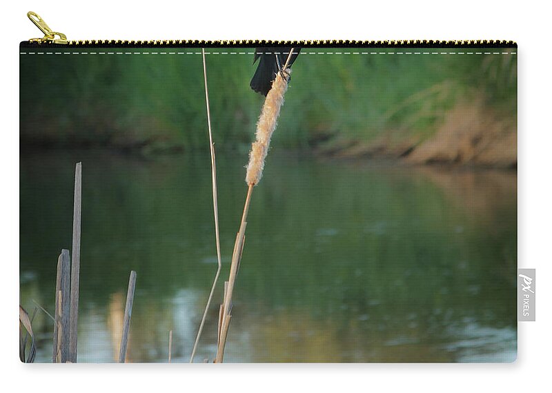 Red-winged Zip Pouch featuring the photograph Red Winged Blackbird by Robert Bales