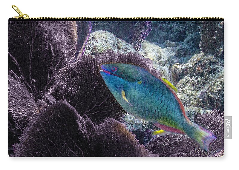 Ocean Carry-all Pouch featuring the photograph Redband Fan by Lynne Browne