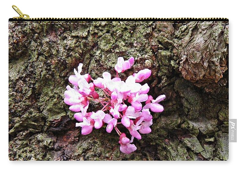 Redbud Zip Pouch featuring the photograph Redbud Flowers 1 by Sarah Loft
