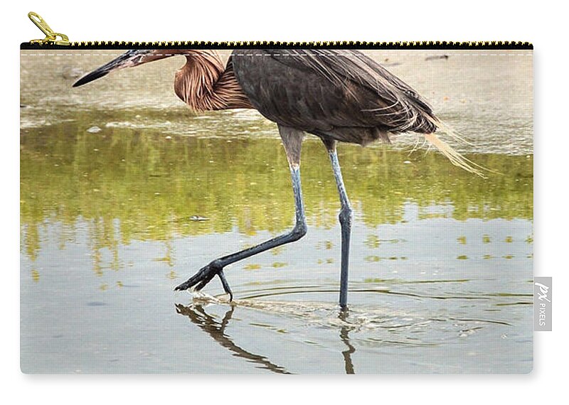 Birds Zip Pouch featuring the photograph Reddish Egret Sneaking Up On Dinner by Debra Martz