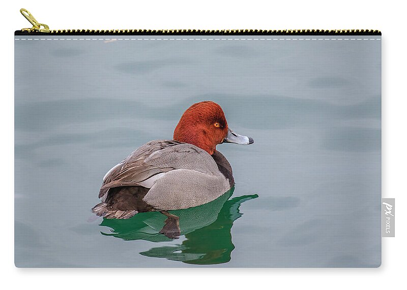 Canada Zip Pouch featuring the photograph Redhead 3 by Gary Hall
