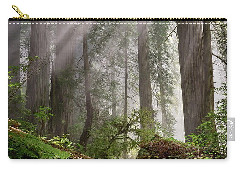 Redwoods Zip Pouch featuring the photograph Redwood Light by Greg Nyquist