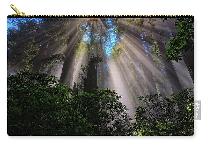 Redwoods Zip Pouch featuring the photograph Redwood Sunbeams by Greg Norrell