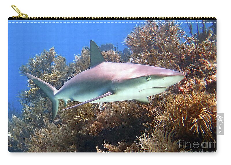 Underwater Zip Pouch featuring the photograph Reef Shark by Daryl Duda