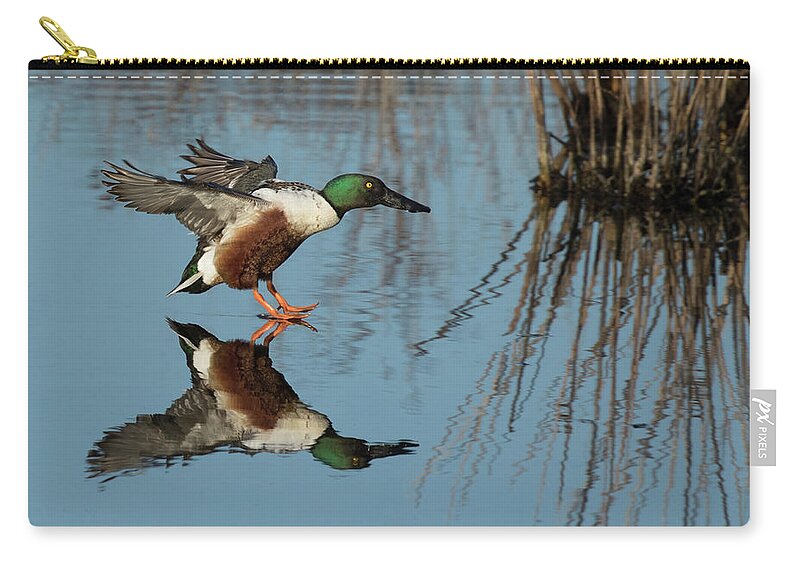Duck Zip Pouch featuring the photograph Reflection Connection by Art Cole