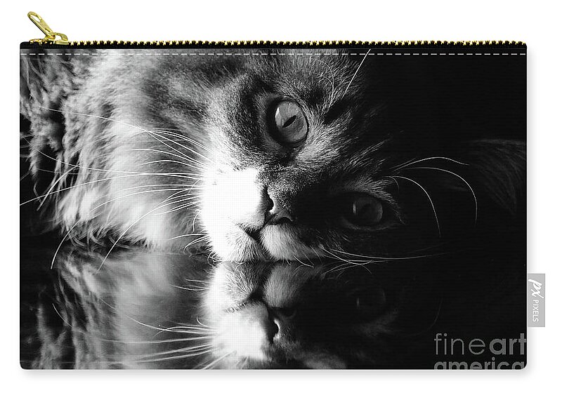 Animal Zip Pouch featuring the photograph Reflective by Susan Herber