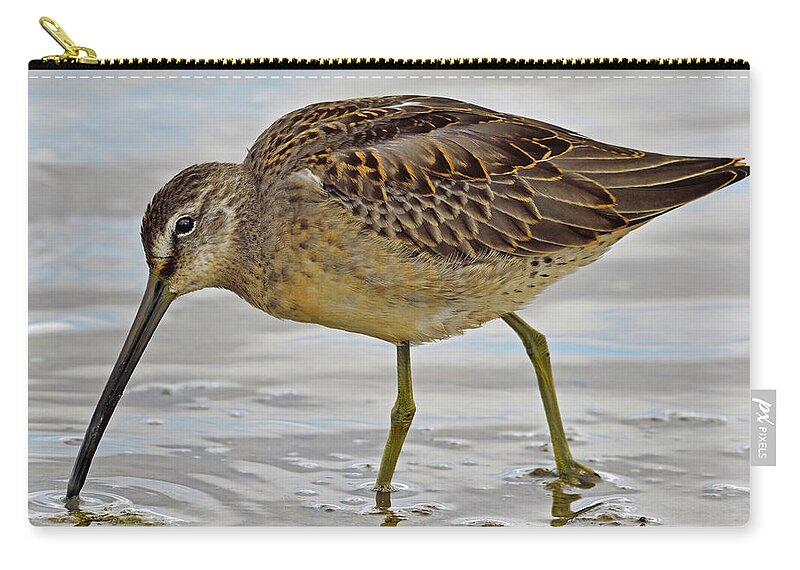 Long-billed Dowitcher Zip Pouch featuring the photograph Refueling by Tony Beck