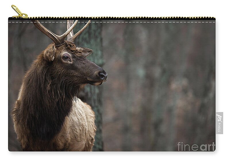 Elk Zip Pouch featuring the photograph Regal by Andrea Silies