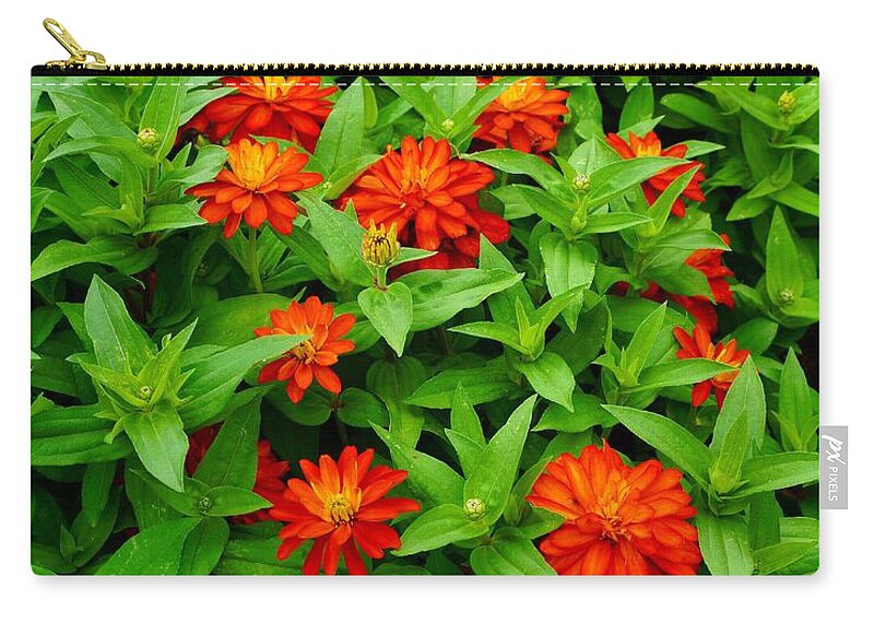  Zip Pouch featuring the photograph Rejuvenate by Rodney Lee Williams