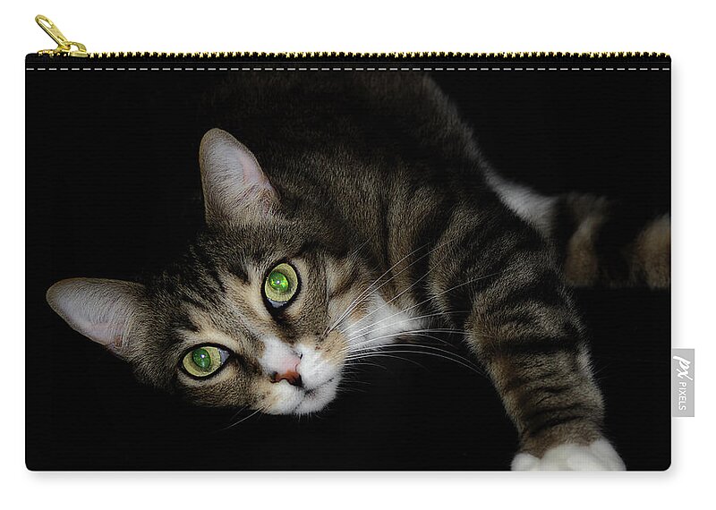Cat Carry-all Pouch featuring the photograph Relaxation by Mike Eingle