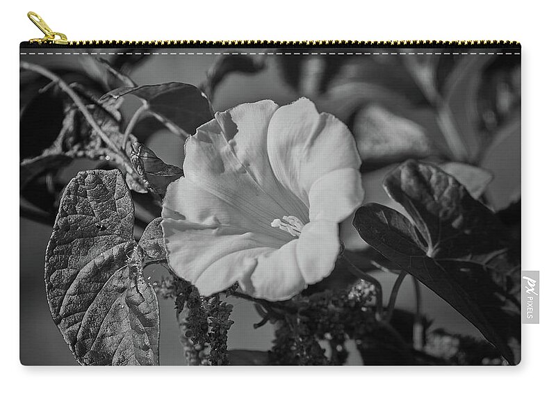 Black And White Zip Pouch featuring the photograph Remember BW #f5 by Leif Sohlman