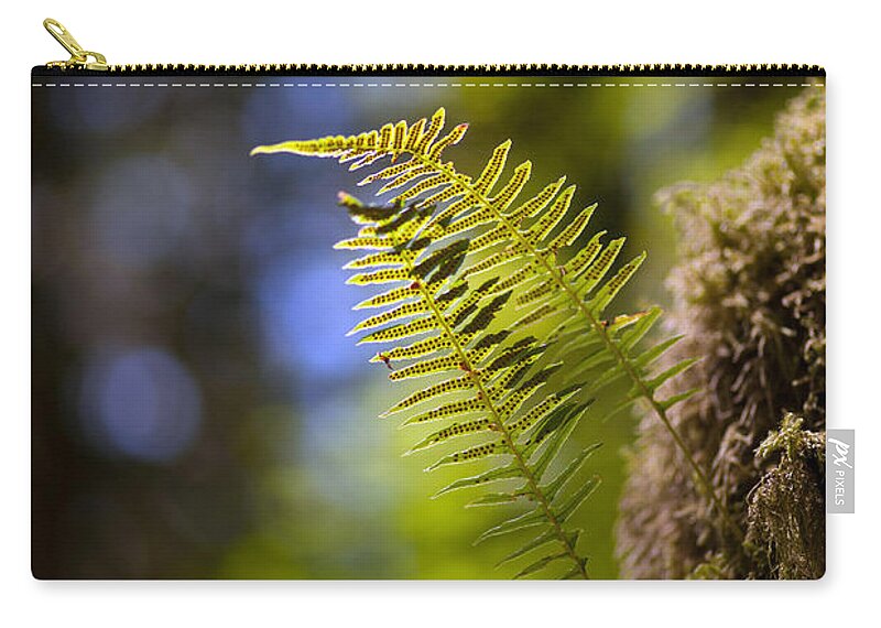 Fern Zip Pouch featuring the photograph Renewal Ferns by Mike Reid