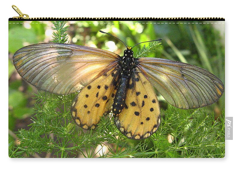 Butterfly Zip Pouch featuring the digital art Respite in paradise by Vincent Franco