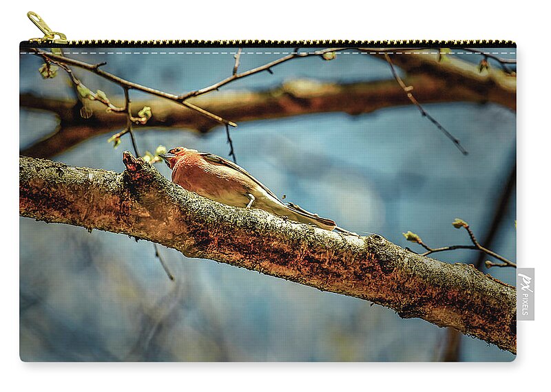 Nature Zip Pouch featuring the photograph Resting #g3 by Leif Sohlman