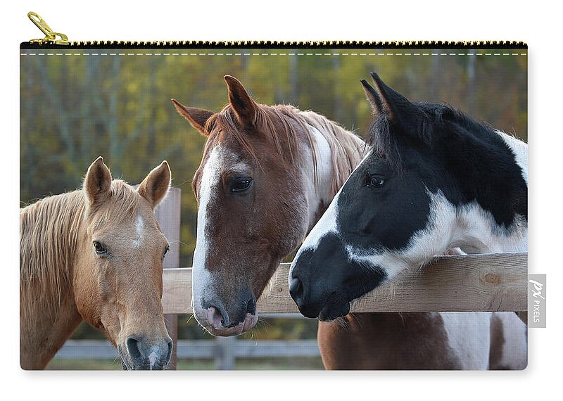 Rosemary Farm Zip Pouch featuring the photograph Remy, Rhett, and Cleo by Carien Schippers