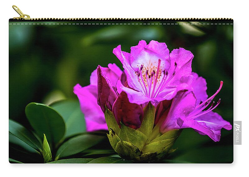 Flower Zip Pouch featuring the digital art Rhododendron by Ed Stines