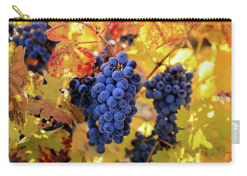 Rich Fall Colors With Grapes Zip Pouch featuring the photograph Rich fall colors with grapes by Lynn Hopwood