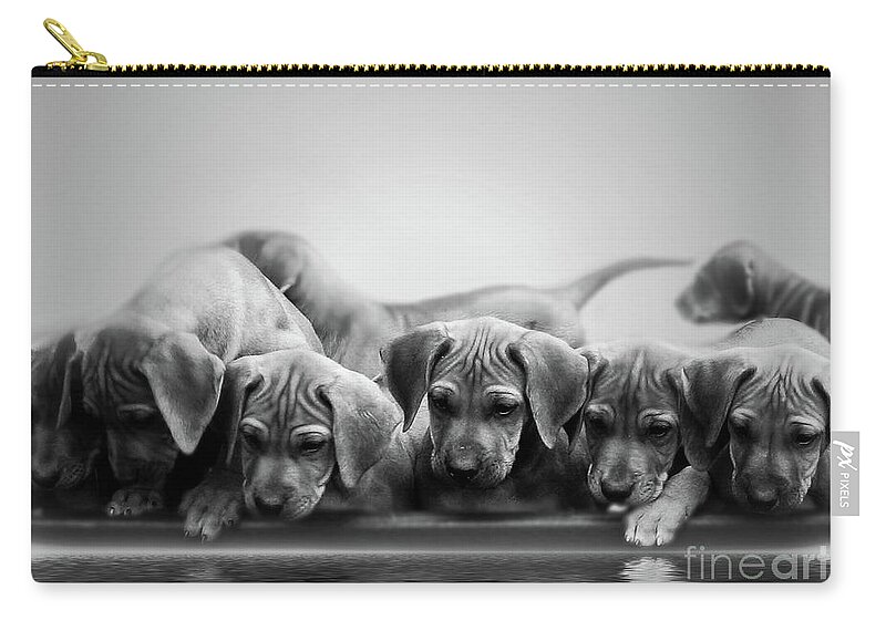 Puppy Zip Pouch featuring the photograph Ridgeback Puppies by Mim White